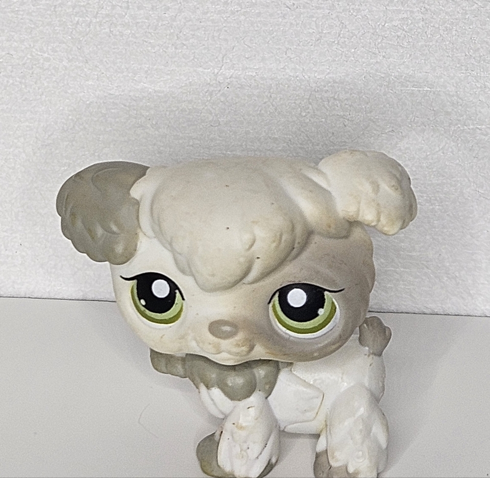 Littlest Pet‎ Shop #203 White-Grey Poodle